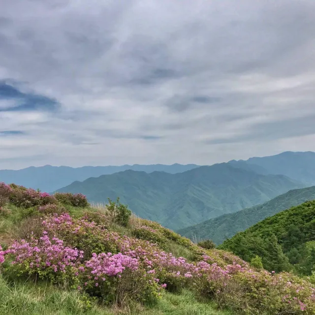 지리산