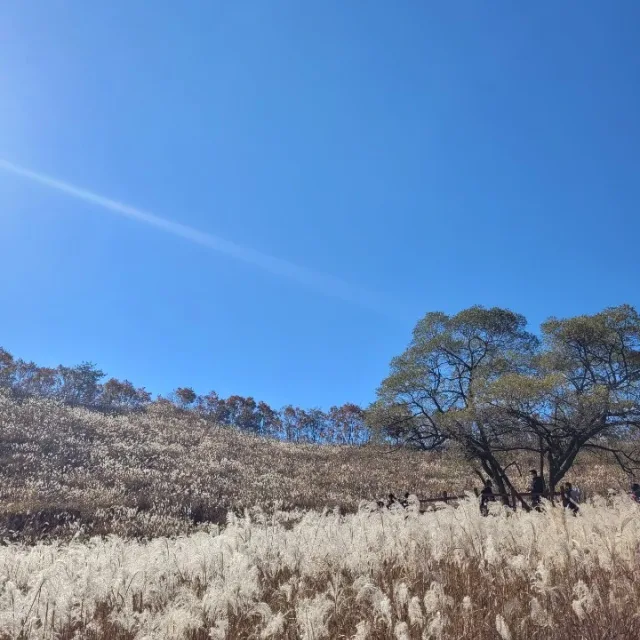 행복