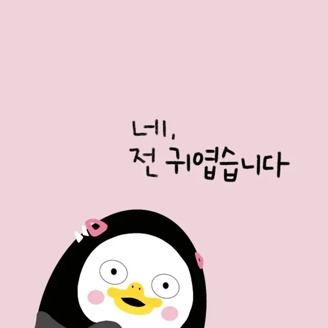 매력미호