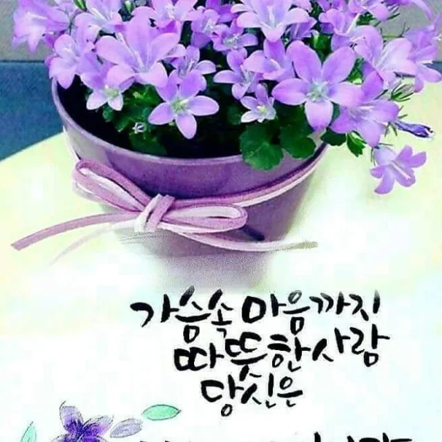 라일락