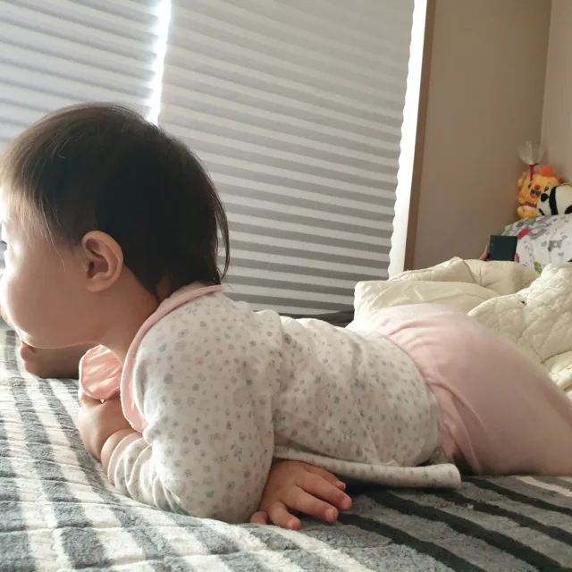 복숭아