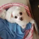 부자아빠
