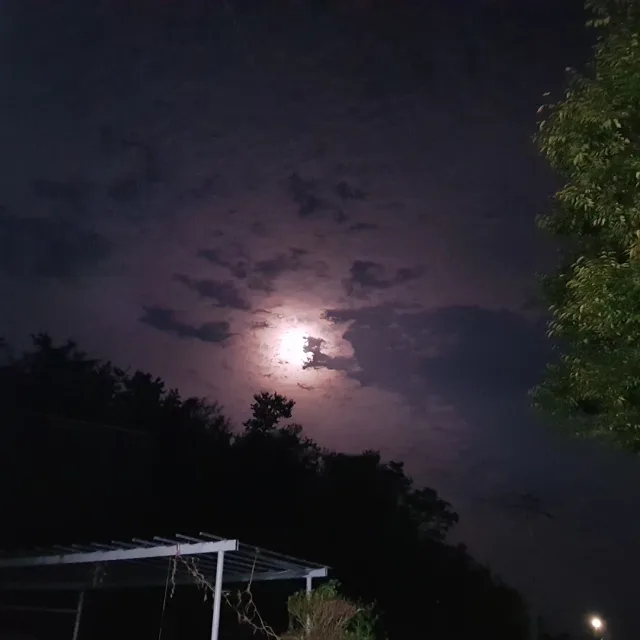 구서동
