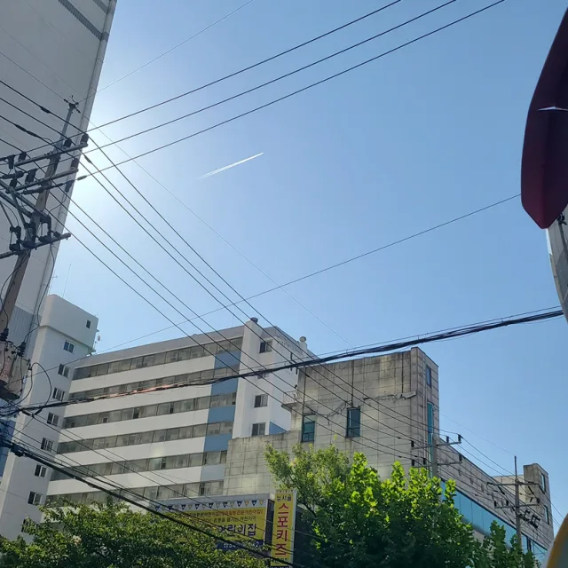 당근이졍