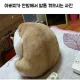 하준파파