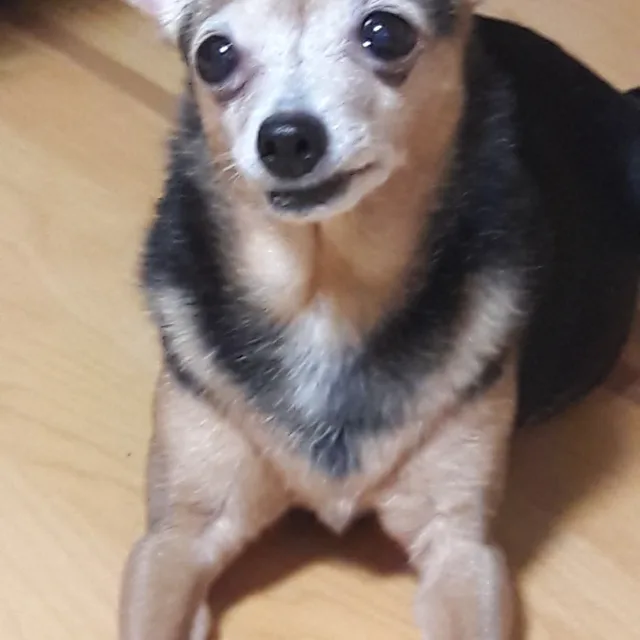소망
