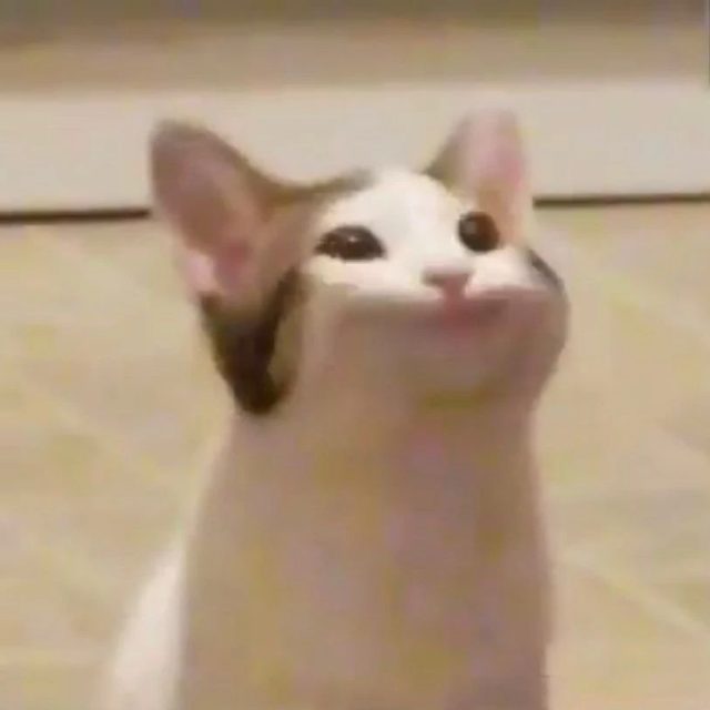 라면