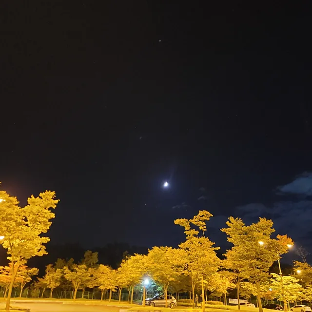 쫑이랑