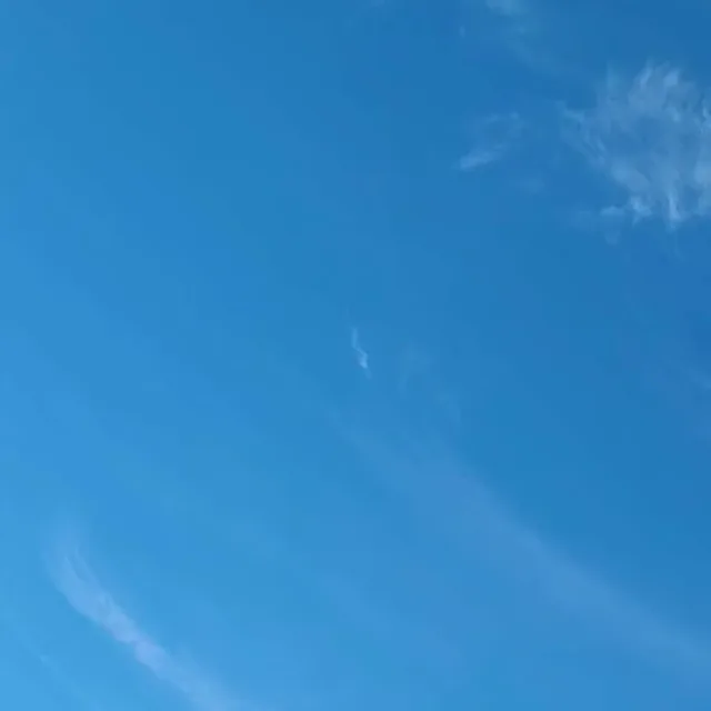 똘똘이