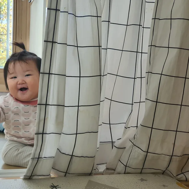 까꿍