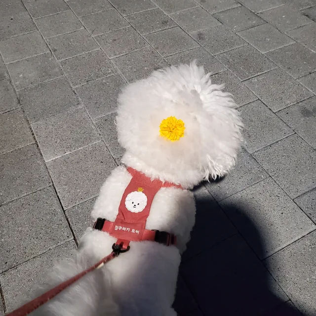 로이쿠