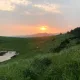 하하