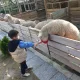 줘니조아
