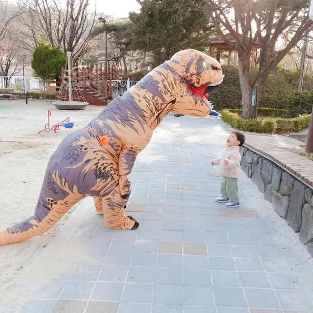 폴리폴리