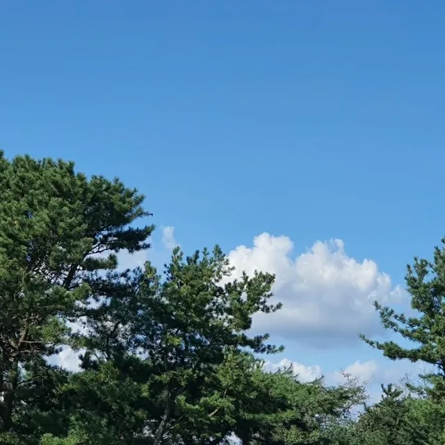 라바콘