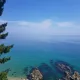 장수하늘소