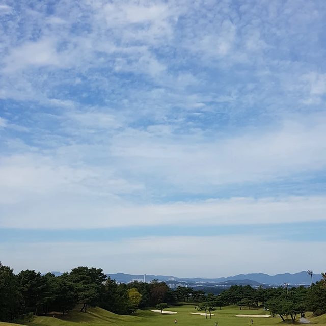 예쁜골린이