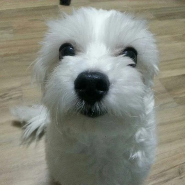 강지3
