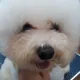 라솔