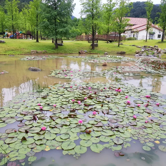 잘쓰세요