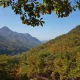 삼부자