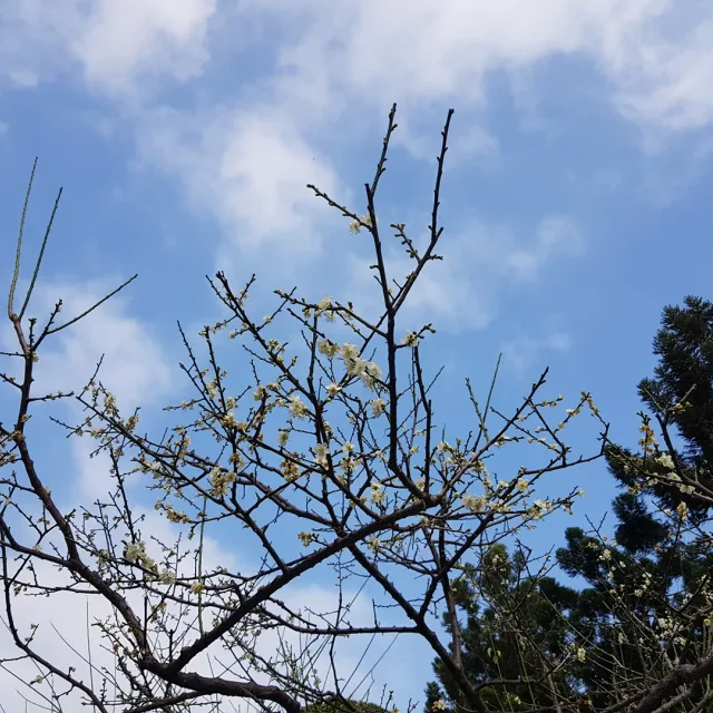 몽글몽글