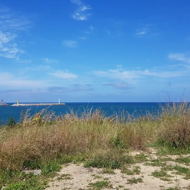 중동벼룩시장