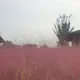 양양