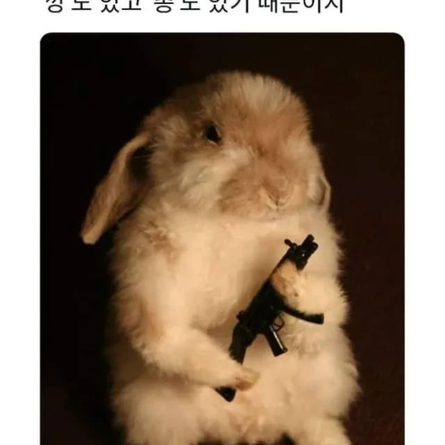 킴당근