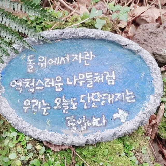 키키