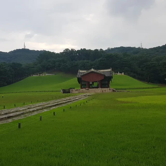 똥가