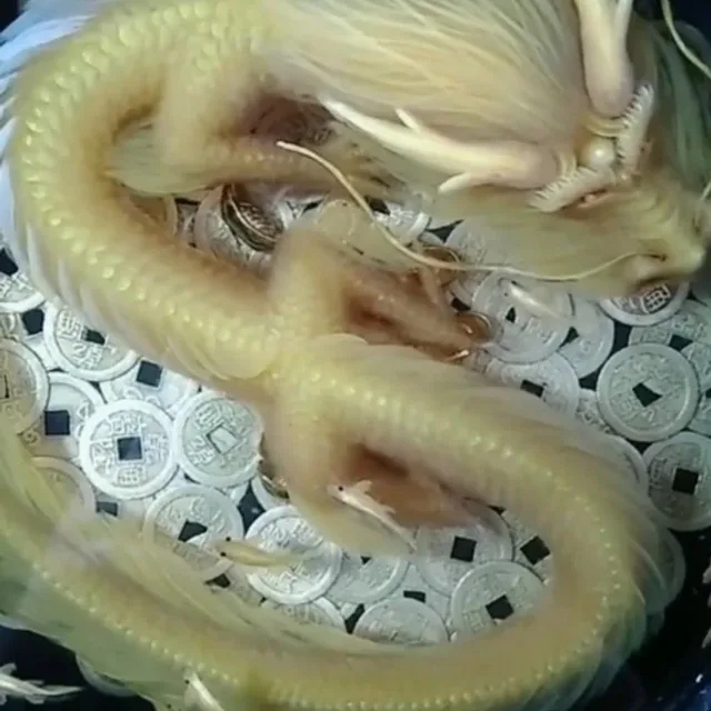 혜율