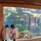 그쯤하슈