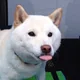 구구