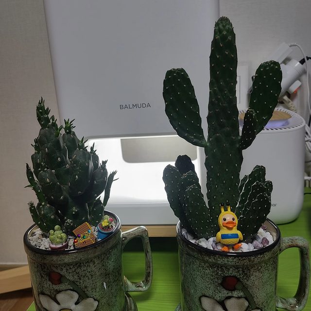 리뷰 프로필 이미지