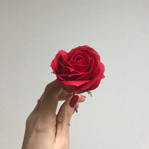 진리다