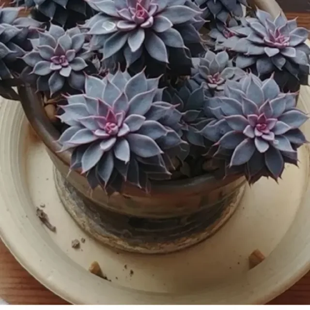 세월이흘러