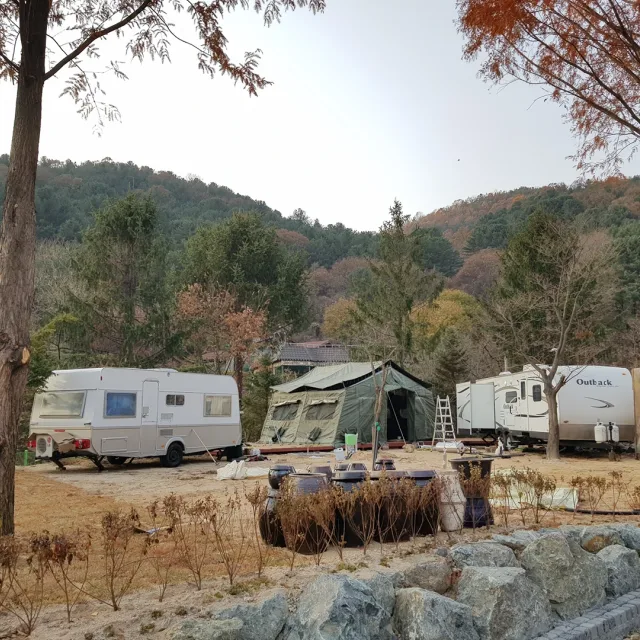 늘푸