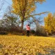 토리맘