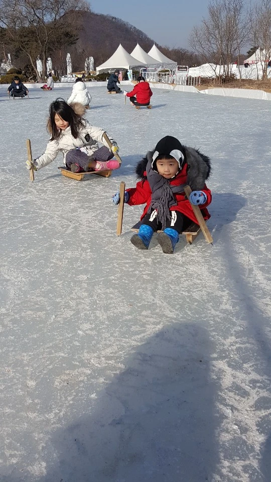배추