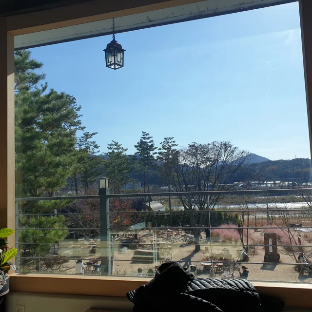 허니허니