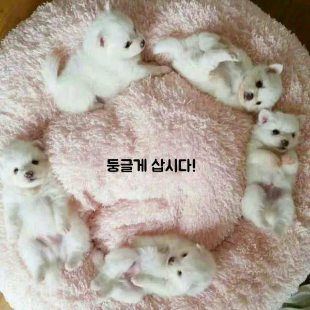 최고템