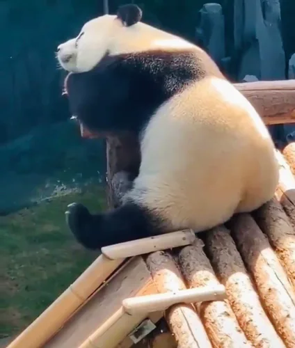 쿨거래환영