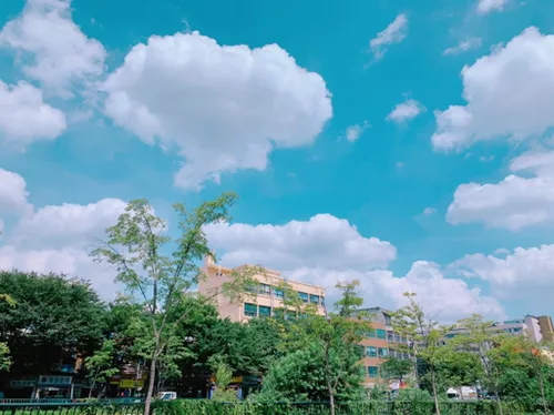 쩝쩝박사
