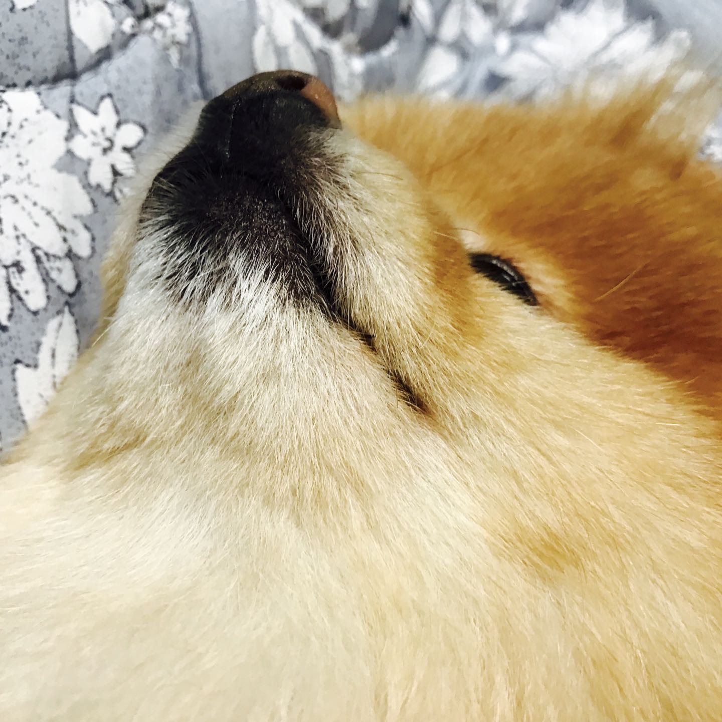 물멍