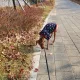 코코야