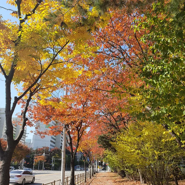 그린경진