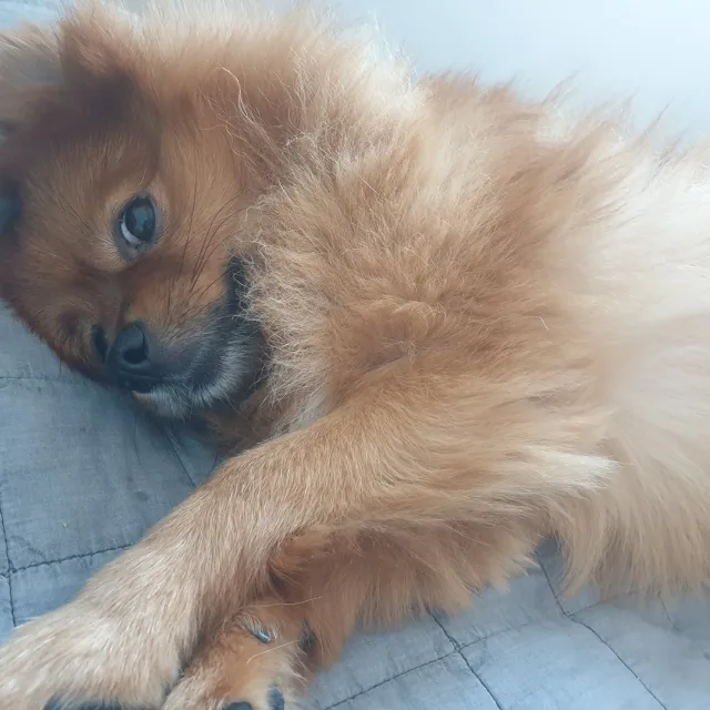 뚠구