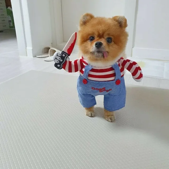 꼬슴