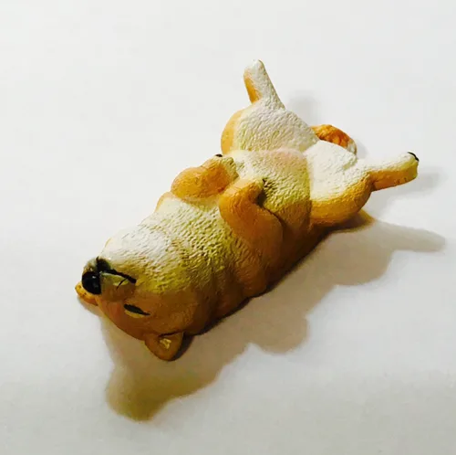 진원윤
